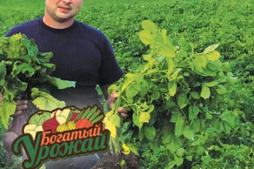 Зоомагазин Зоозавр Интернет Магазин Зоомагазин Зоозавр Интернет Магазин
