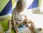 Английский детский сад Baby-Family фотография 2