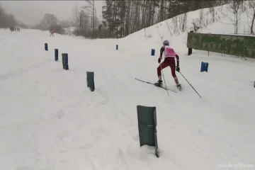СШОР по лыжным гонкам Бабушкино фотография 2