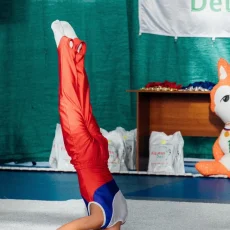 Всероссийская детская спортивная школа по художественной гимнастике и спортивной акробатике Fd на Полярной улице фотография 5