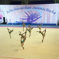 Центр художественной и эстетической гимнастики для девочек Олимпия фотография 1
